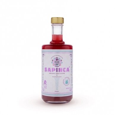 Vaisių Sapinca 500ml